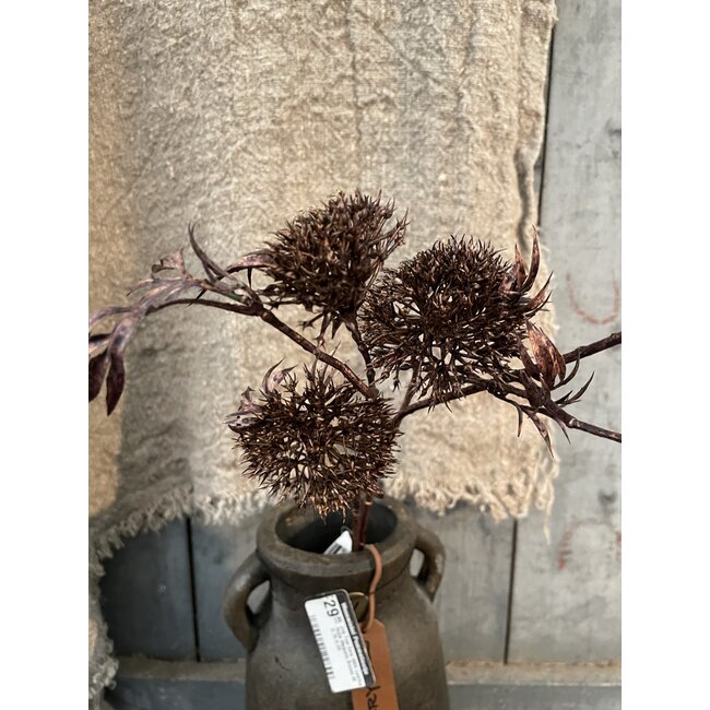 ## Multiple fruit spray, 66 cm, rosee