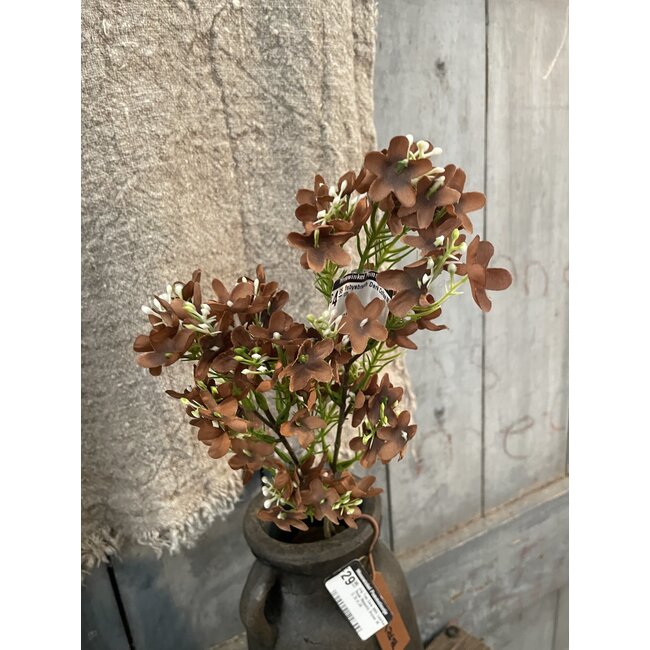 ## Babysbreath Dark Coffee M 60 cm