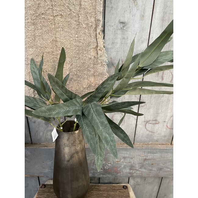 ## Eucalyptus Lancefolia Grey 75 cm