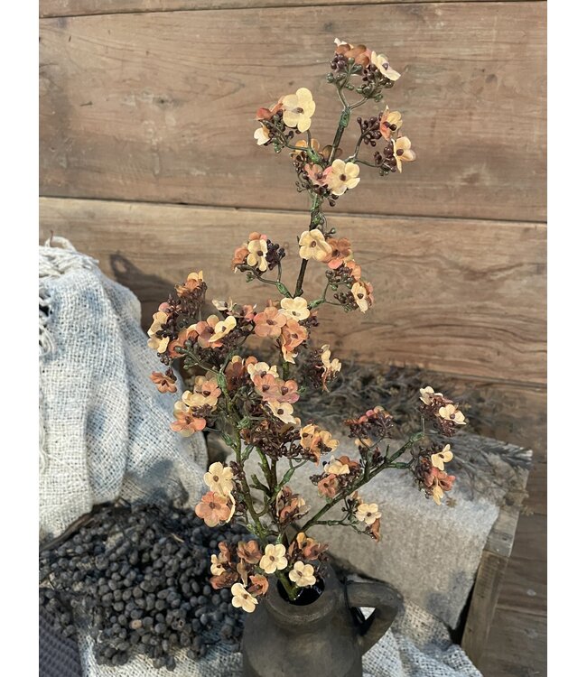 Oranje/gele Ganzerik - Potentilla 102 cm