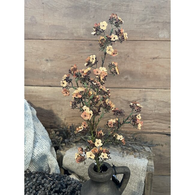 ## Oranje/gele Ganzerik - Potentilla 102 cm