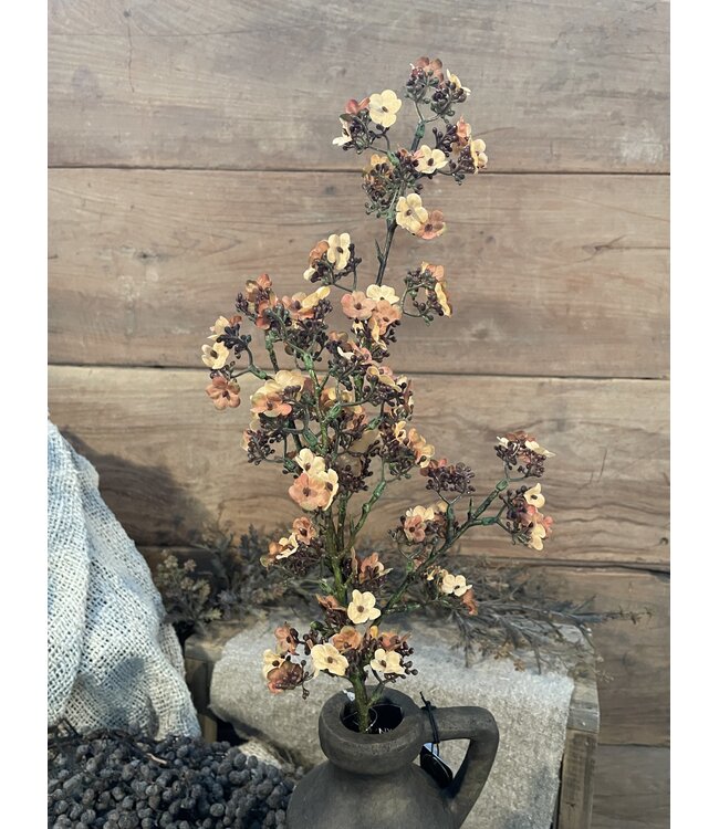 Oranje/gele Ganzerik - Potentilla 102 cm