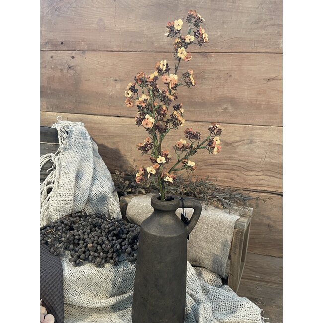 ## Oranje/gele Ganzerik - Potentilla 102 cm