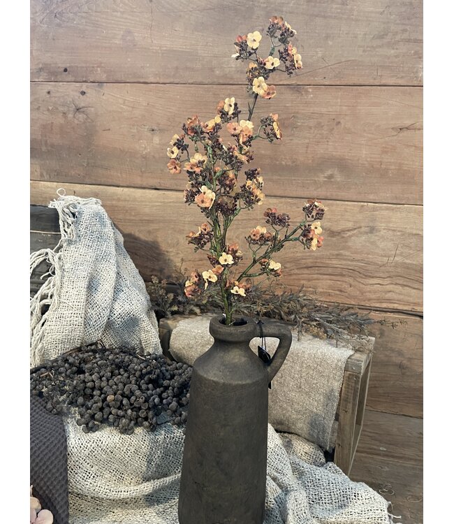Oranje/gele Ganzerik - Potentilla 102 cm