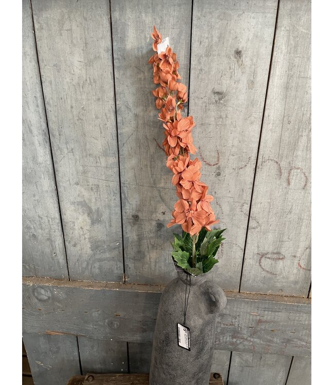 Delphinium Coffee 90 cm