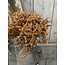 Countryfield # Limonium bundel top bruin/roest- kunst --L15B15H41CM