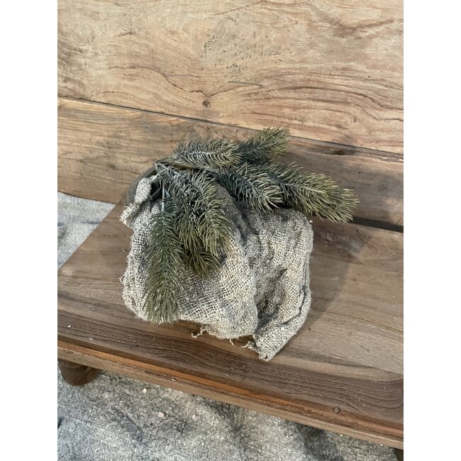 # Picea Grey Brown 38 cm