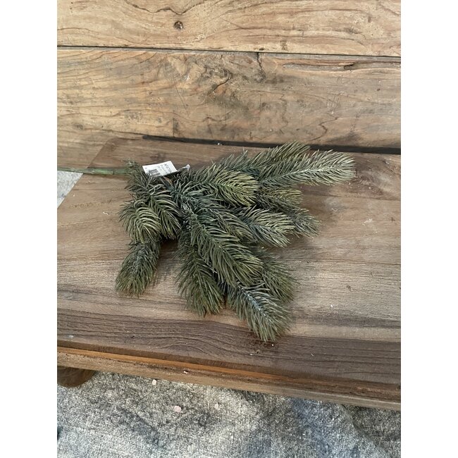 # Picea Grey Brown 38 cm