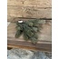 Picea Grey Brown 38 cm