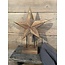 Houten ster op standaard S - 30x9x40cm