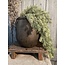 # Planter with Two Ears Majestc Brown L D.26 H.28
