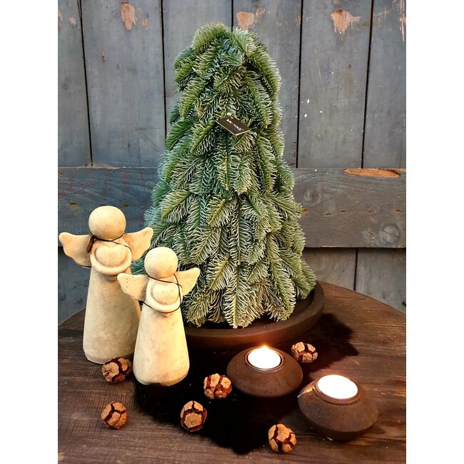 # Nobilis boom Brynxz kunst - 40 cm - per stuk -