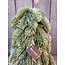 # Nobilis boom Brynxz kunst - 40 cm - per stuk -
