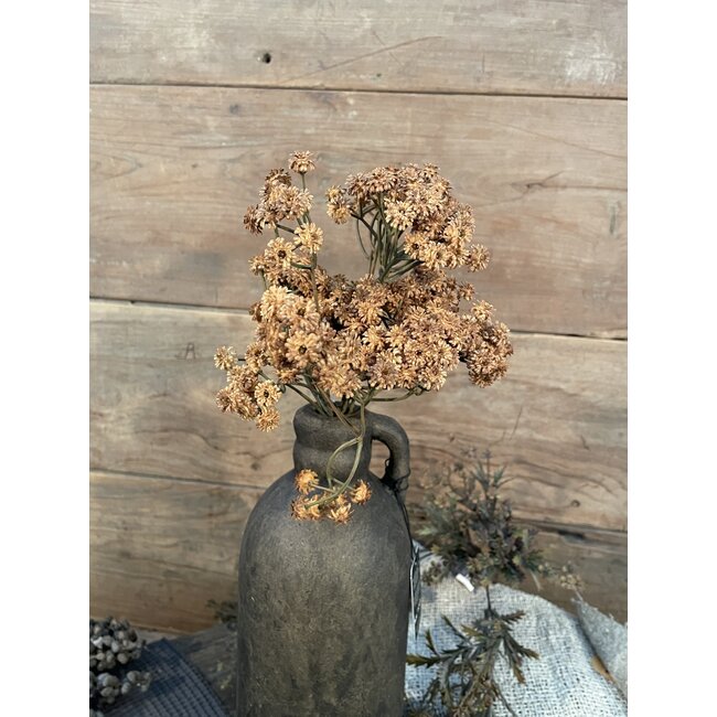 Countryfield ## Bruin gipskruid bundel 33 cm