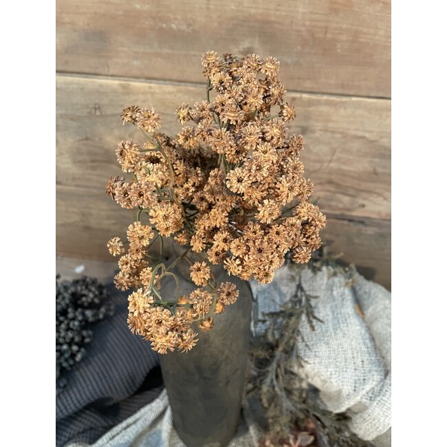 Countryfield ## Bruin gipskruid bundel 33 cm
