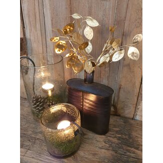 ## Lunaria goud-L7B15H40CM