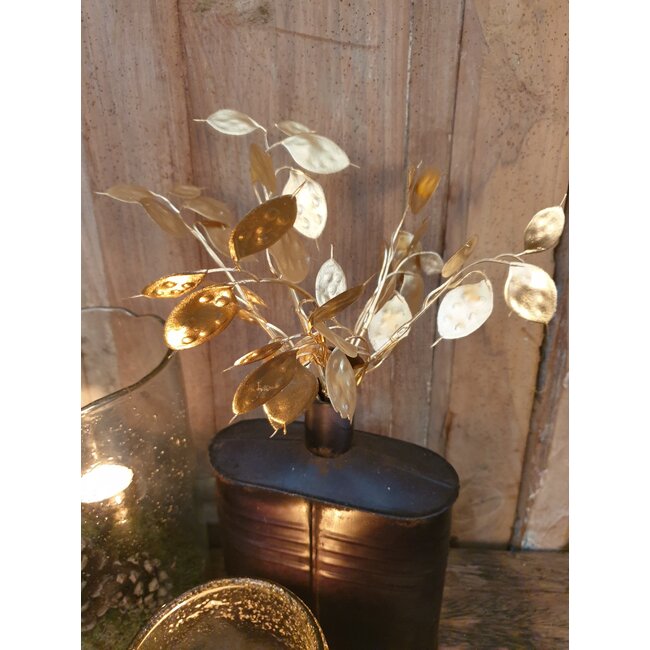 ## Lunaria goud-L7B15H40CM