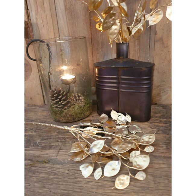 ## Lunaria goud-L7B15H40CM