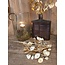 ## Lunaria goud-L7B15H40CM