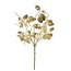 ## Lunaria goud-L7B15H40CM