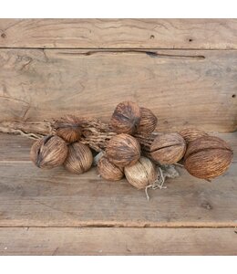 @ Cocosballen op tak bruin - ca. 75 cm