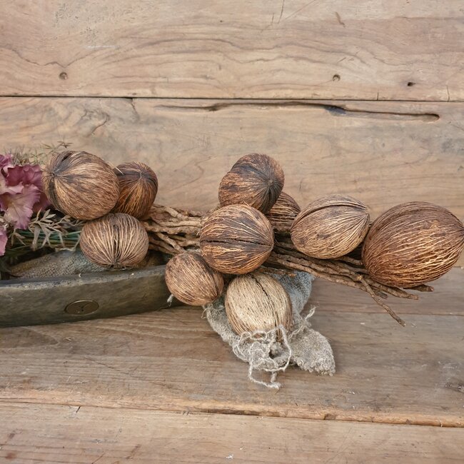 # Cocosballen op tak bruin - ca. 75 cm