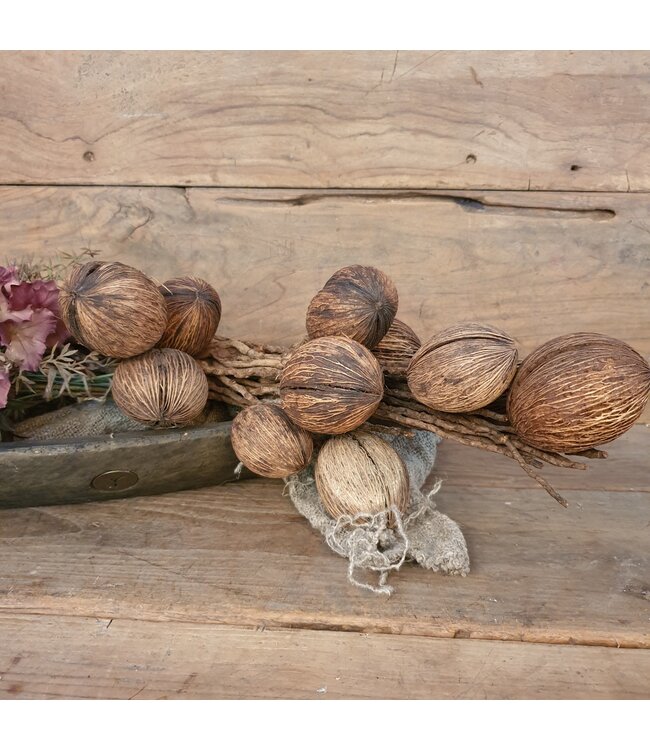 ## Cocosballen op tak bruin - ca. 75 cm