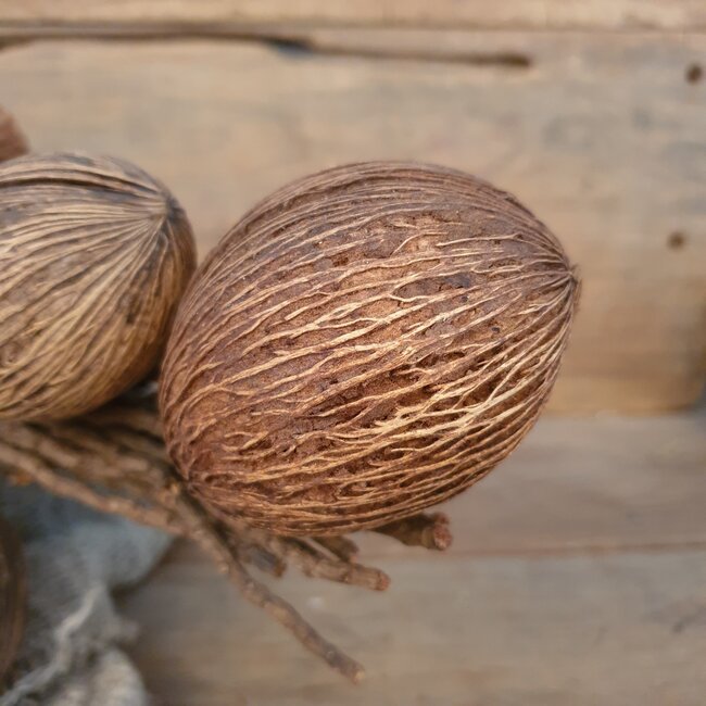 # Cocosballen op tak bruin - ca. 75 cm