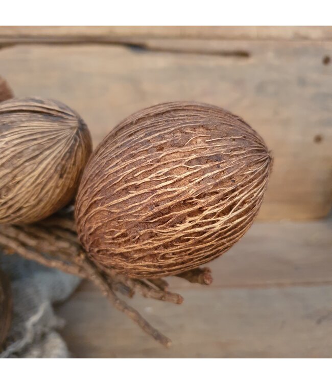## Cocosballen op tak bruin - ca. 75 cm