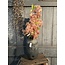 # vase edge ancient clay m 15 x 30 cm