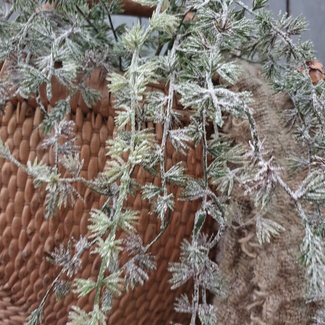 Cedar Spray w/Pine Snowed 92cm