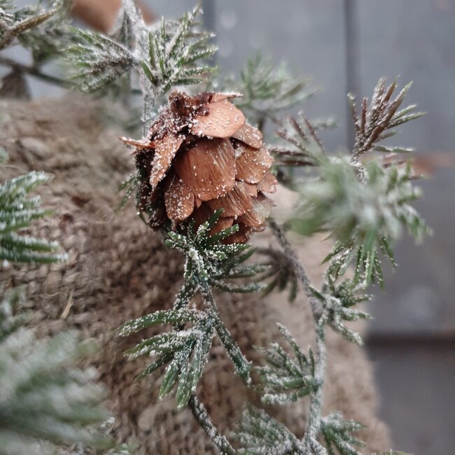 # Cedar Spray w/Pine Snowed 92cm