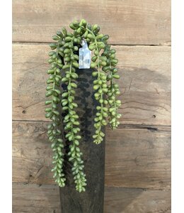 # Groene erwtenplant hanger - 42 cm