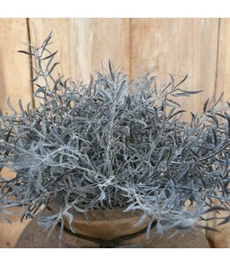 # Springeri Bush 38 cm - kunst