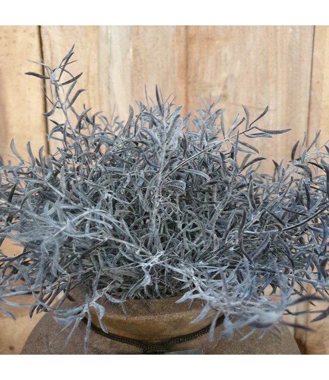 # Springeri Bush 38 cm - kunst