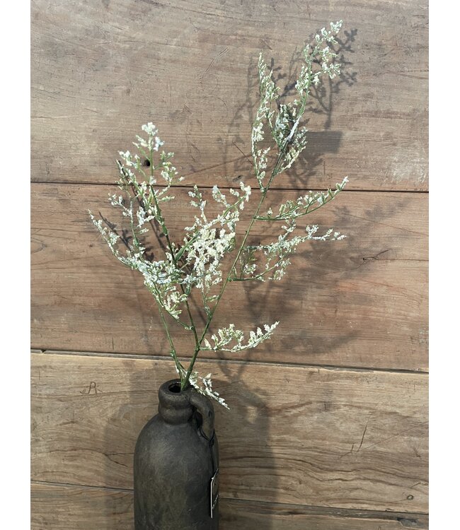 limonium spray wit 90 cm