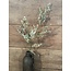 ## limonium spray wit 90 cm