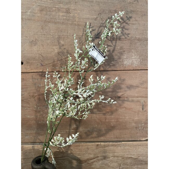 ## limonium spray wit 90 cm