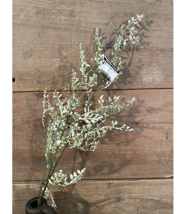 limonium spray wit 90 cm