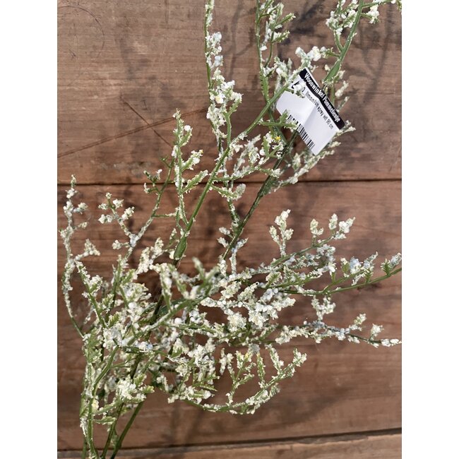 limonium spray wit 90 cm