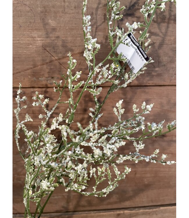 limonium spray wit 90 cm