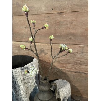 ## Esdoorn fruit tak Quince S wit - l55b12,5h2,5cm