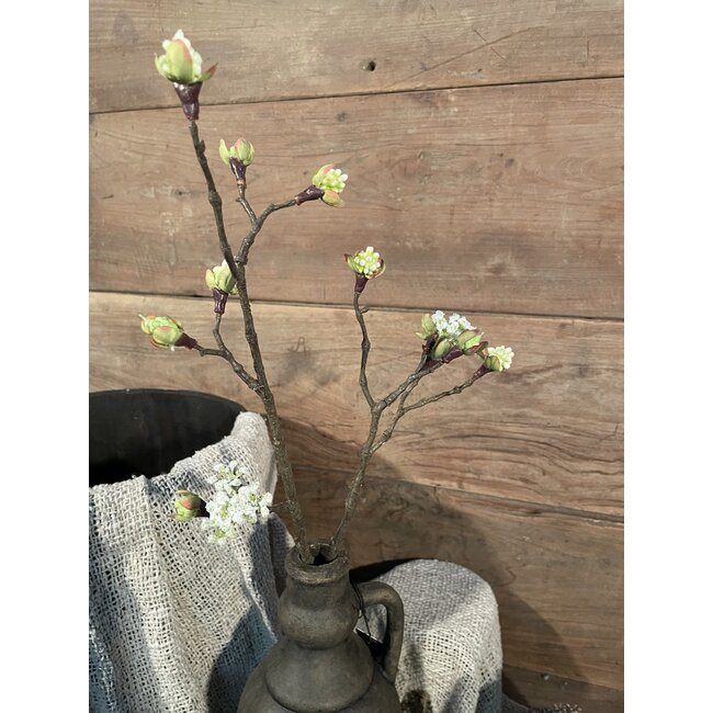 ## Esdoorn fruit tak Quince S wit - l55b12,5h2,5cm