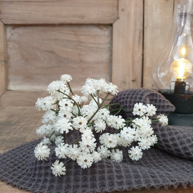 Countryfield ## Gypsophila bundel crème-L7B7H33CM