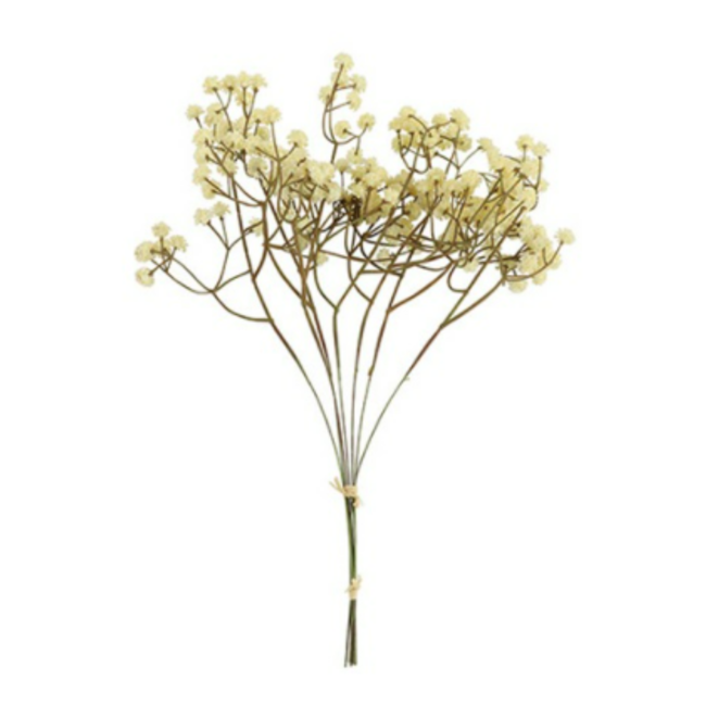 Countryfield ## Gypsophila bundel crème-L7B7H33CM