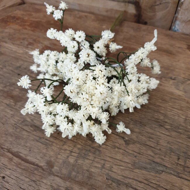 Countryfield ## Gypsophila bundel crème-L7B7H33CM