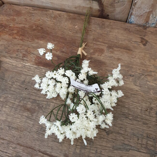 Countryfield ## Gypsophila bundel crème-L7B7H33CM