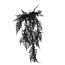 ## Varen zwart-L6B30H80CM