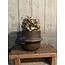 # Planter Line Majestic Brown M D.19 H.15