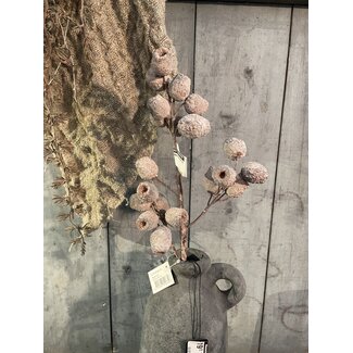 ## Mespulus Nature 60 cm